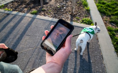 Was Your Dog Walked? Your Phone Can Show You