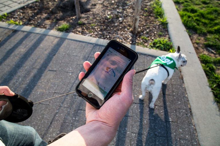 Was Your Dog Walked? Your Phone Can Show You