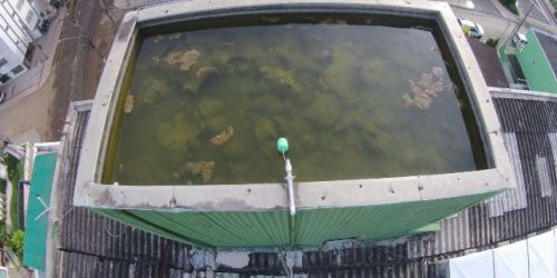 Prefeitura de Chapecó tem projeto público de R$107 mil aprovado para combate a dengue com drones