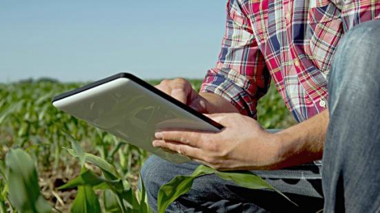 Produtor rural brasileiro está conectado à tecnologia da informação