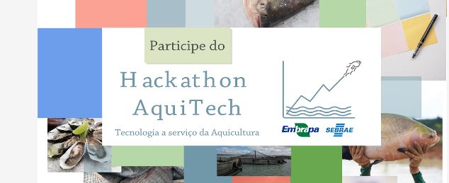 Sebrae e Embrapa lançam maratona de programação para criar aplicativo de gestão na aquicultura