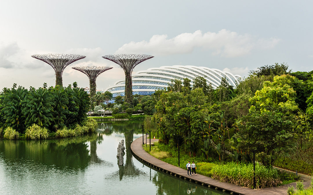 Algoritmo encontra a cidade mais verde do mundo