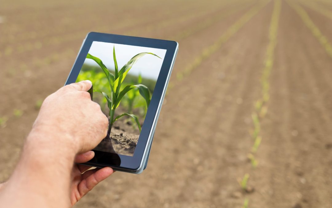 Startups melhoram a vida no campo e alavancam a produção