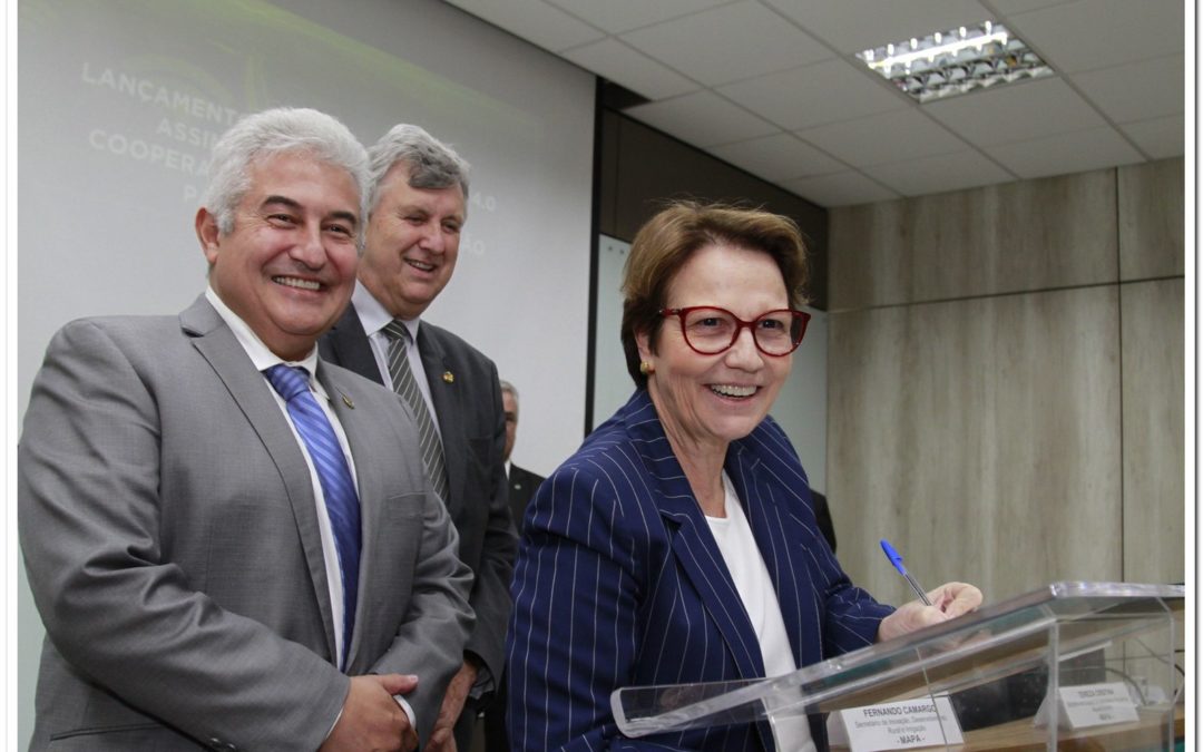MCTIC e Agricultura lançam Câmara do Agro 4.0 para levar IoT ao campo