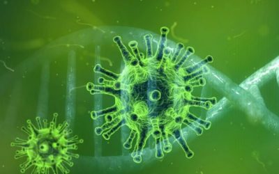 IBM disponibiliza gratuitamente também no Brasil tecnologia para ajudar a combater novo coronavírus