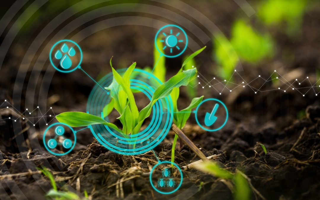 Embrapa, Sebrae e Inpe realizam levantamento on-line sobre tendências em agricultura digital