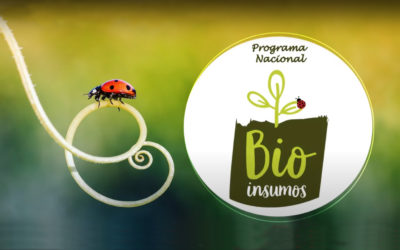 Aplicativo Bioinsumos ajuda produtor rural a controlar pragas e doenças