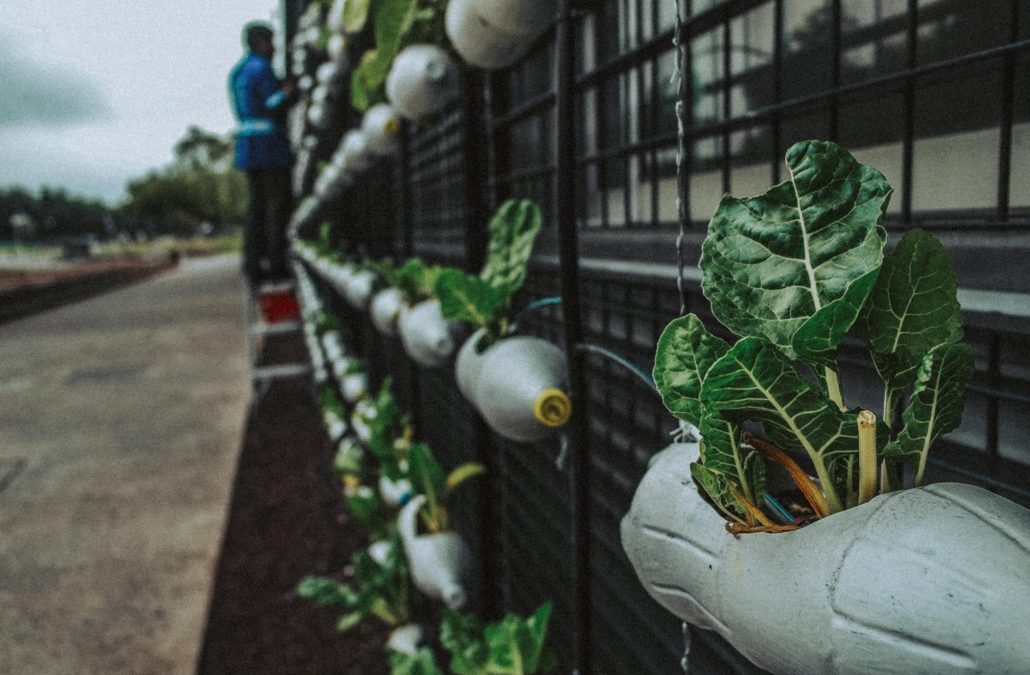 40 startups voltadas à área socioambiental são selecionadas para participar do InovAtiva de Impacto 2020