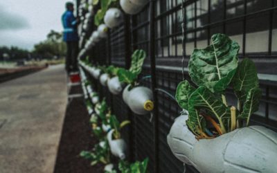 Programa Cresça com o Google anuncia capacitações em Teresina