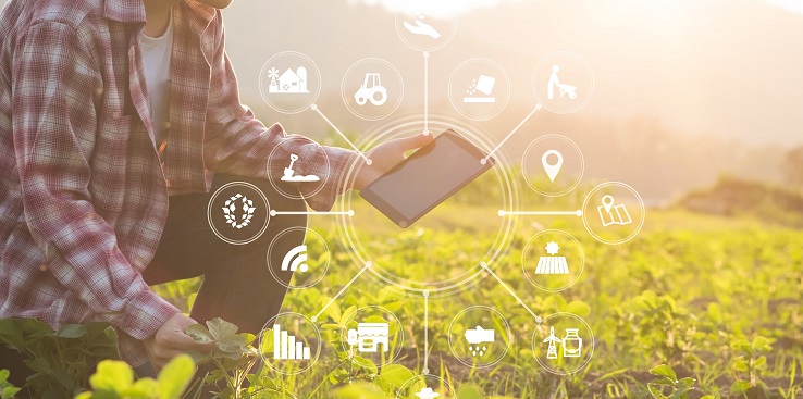 Embrapa lança livro sobre agricultura digital nas cadeias produtivas