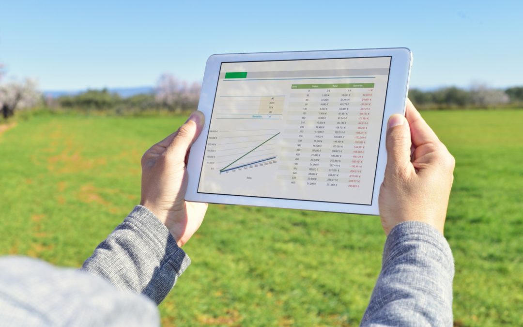 Business Intelligence proporciona lucratividade e sustentabilidade ao agronegócio*