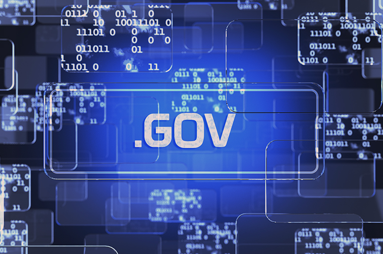 BID vê espaço para Brasil ampliar serviço público digital; 86% se adaptaram à vida online