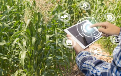 O papel da pesquisa na digitalização da agricultura