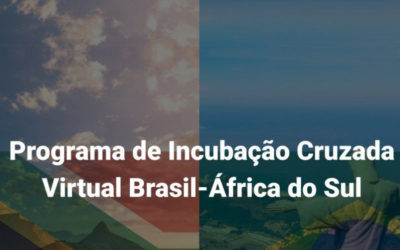 Programa de Incubação Cruzada Virtual de startups Brasil-África do Sul na área de agritech abre chamada para envio de propostas