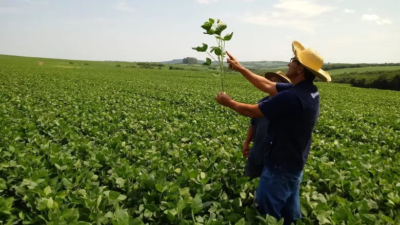 Abertas as inscrições para startups inscreverem projetos no Programa Soja Sustentável do Cerrado