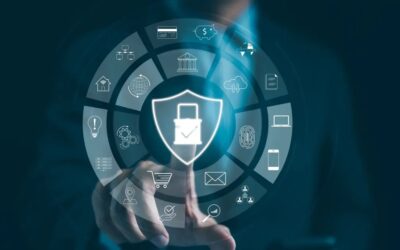 Proteção de dados e privacidade: uma abordagem microeconômica essencial para empresas de software