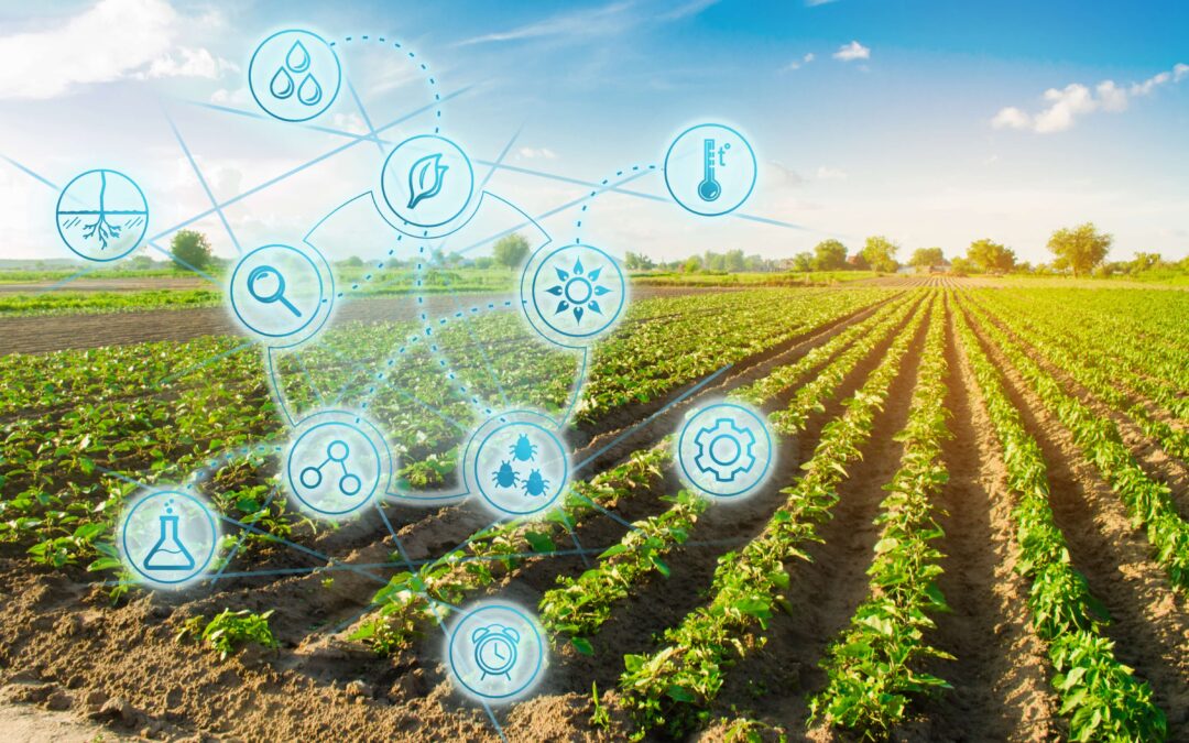 Número de provedores atuando no Brasil se estabiliza, mas com maior diversificação e foco na qualidade dos serviços, revela pesquisa