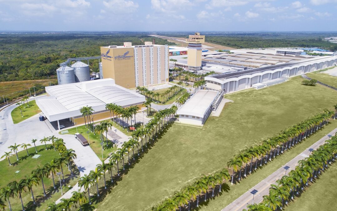 Porto Digital e M. Dias Branco abrem inscrições para startups desenvolverem projetos inovadores